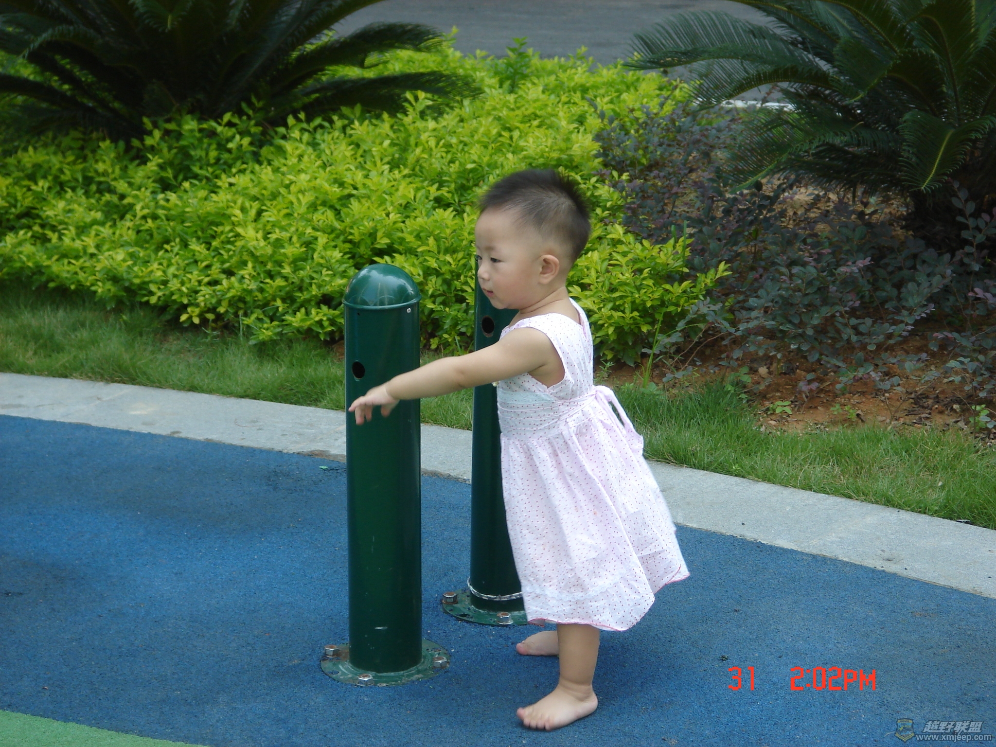 DSC08745.JPG