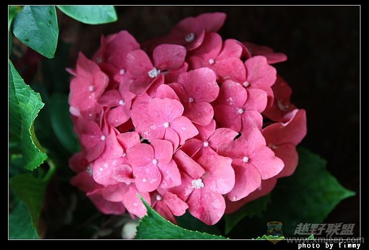 IMG_8654.jpg