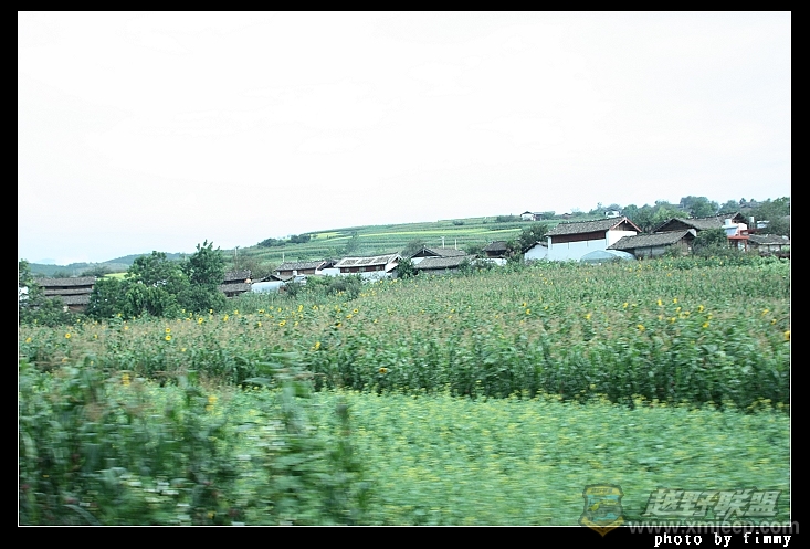 IMG_8679.jpg