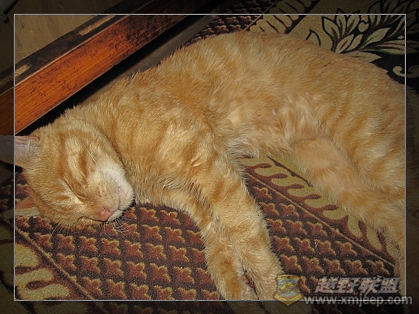 nEO_IMG_IMG_2886.jpg