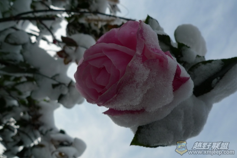 P1050250_С.JPG