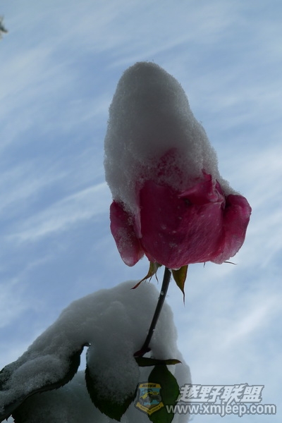 P1050256_С.JPG