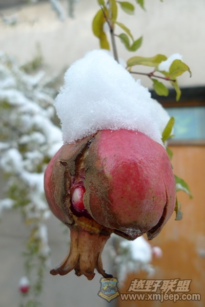 P1050273_С.JPG