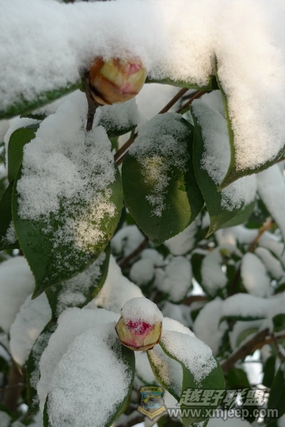 P1050283_С.JPG