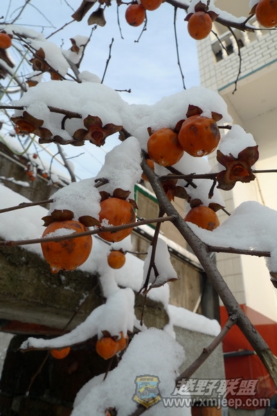 P1050305_С.JPG