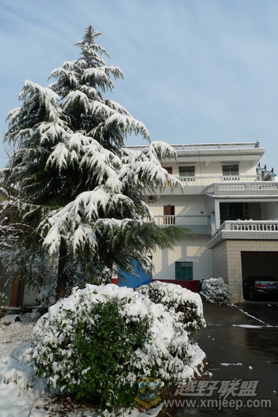 P1050295_С.JPG
