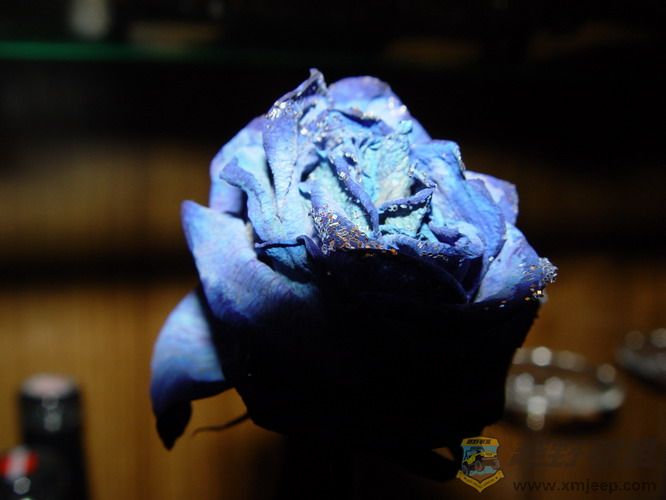 DSC04380_С.JPG