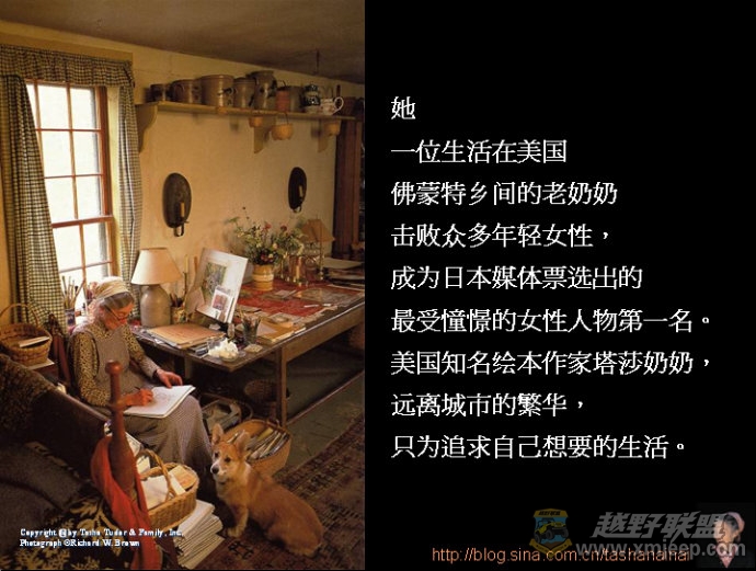 03.jpg