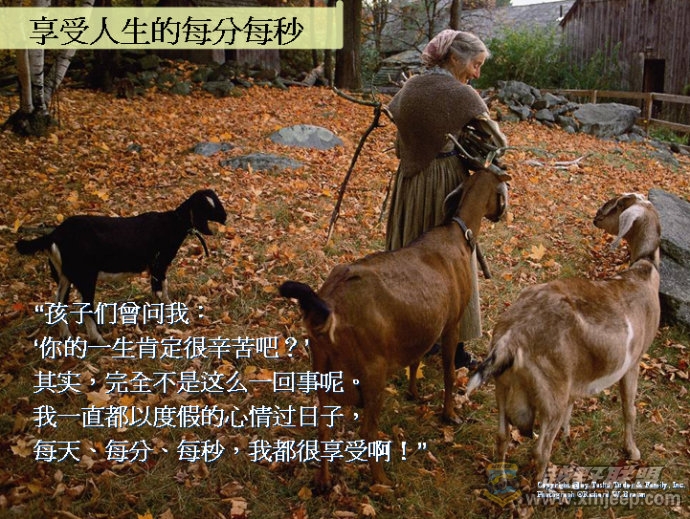 06.jpg