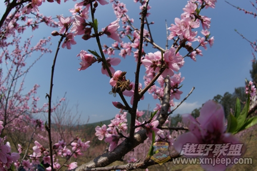 DSC00840.jpg