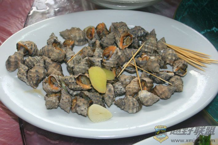 ǿݰ.jpg