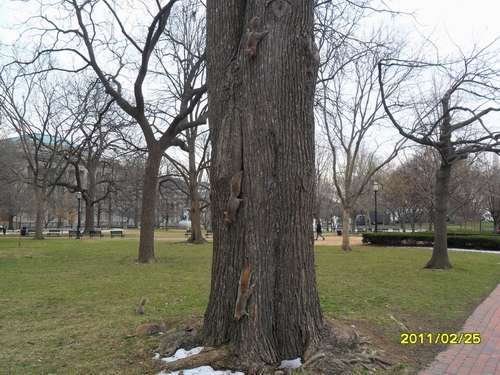 SAM_0228.JPG