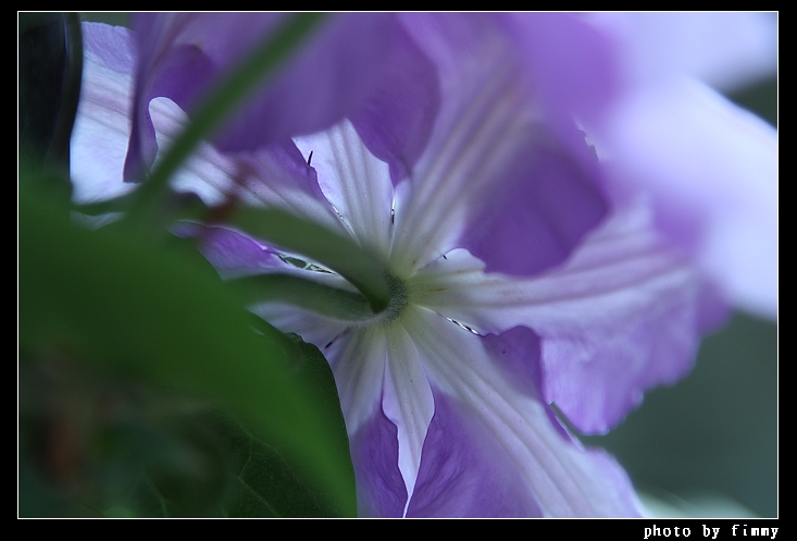 IMG_3612s.jpg