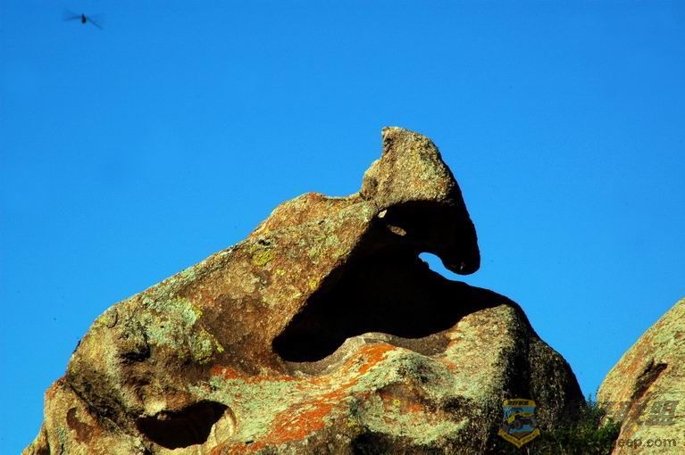 С DSC_1652.jpg