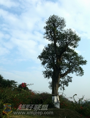 IMG_5888.JPG