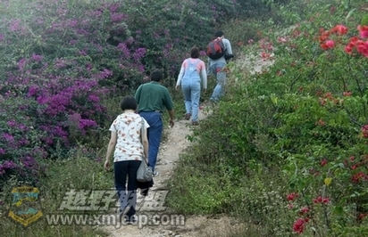 IMG_5939.JPG