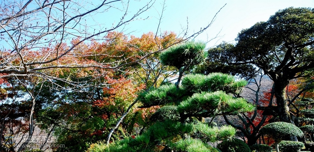 nEO_IMG_DSC_0101.jpg