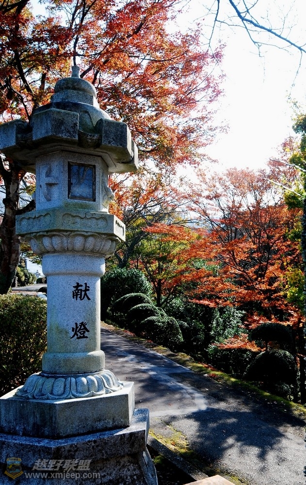 nEO_IMG_DSC_00920.jpg