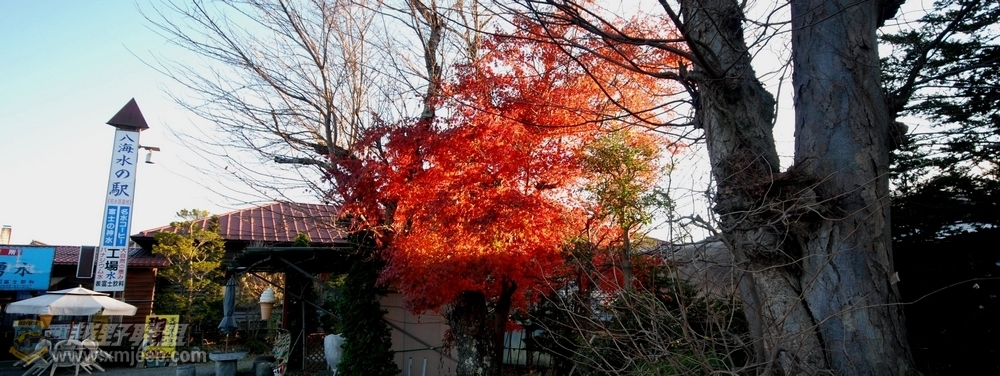 nEO_IMG_DSC_02100.jpg