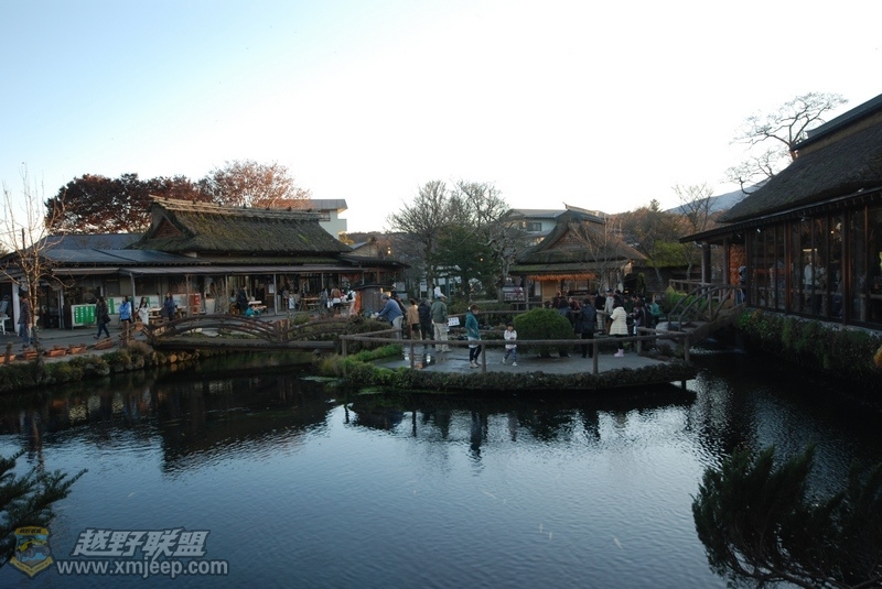 nEO_IMG_DSC_0233.jpg