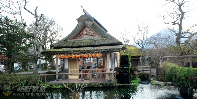 nEO_IMG_DSC_0242.jpg