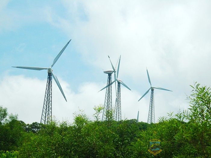 20078111243852573.jpg