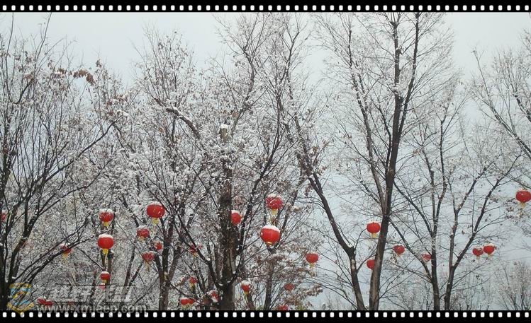 С С DSC08749_.jpg