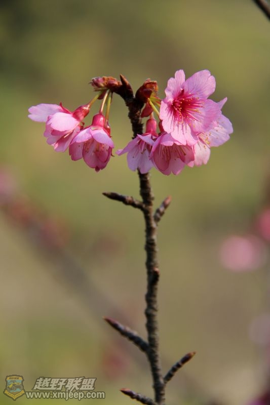 ӣ 051.jpg