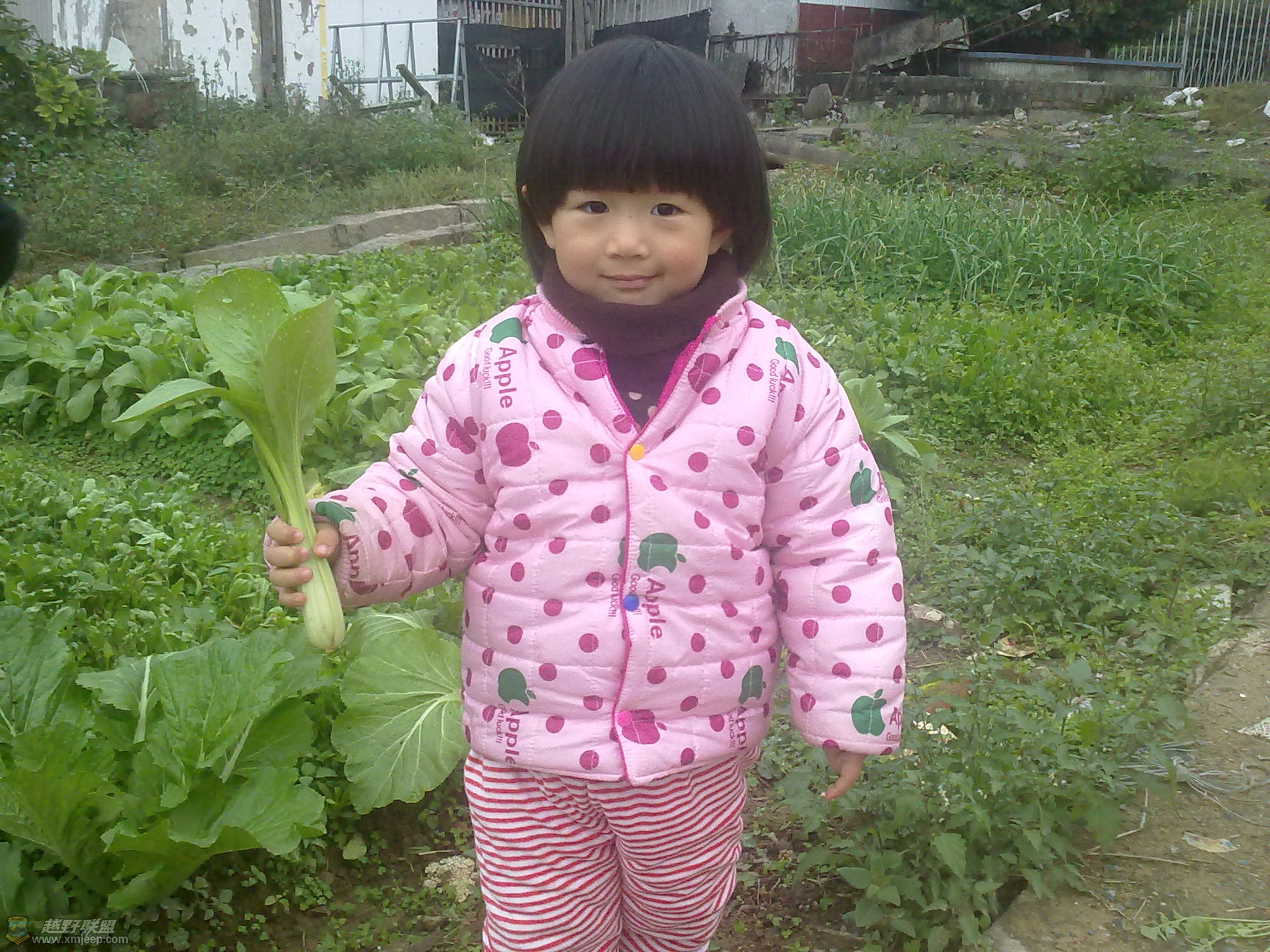 20120209532.jpg