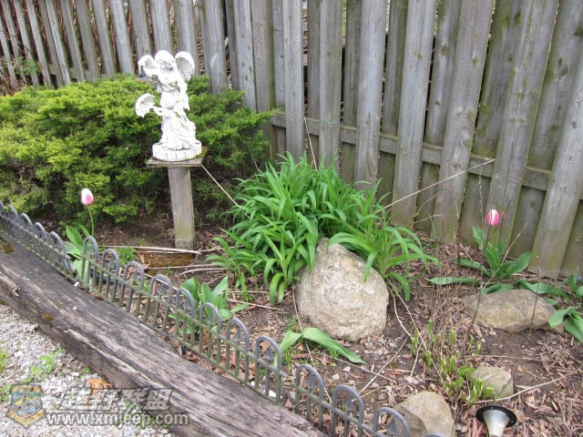 20120428-0003.jpg