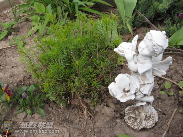 20120428-0025.jpg