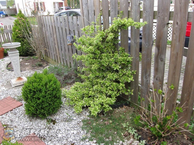 20120428-0019.jpg