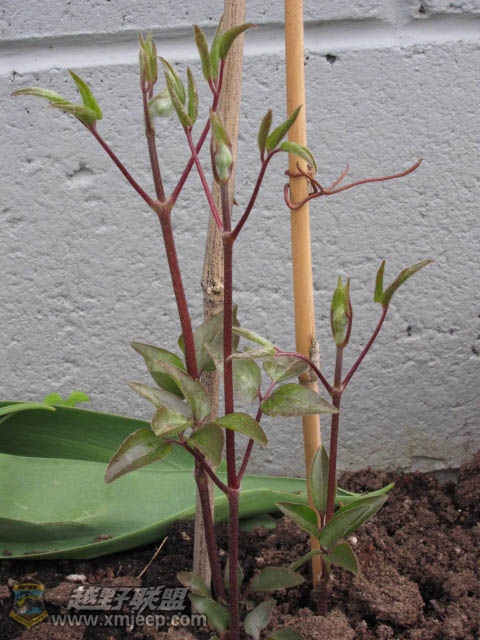 20120428-0011.jpg