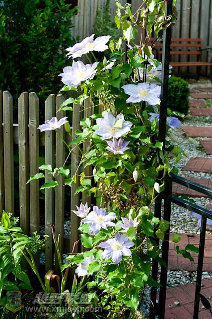 20120526-0013.jpg