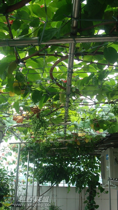 DSC09115_.jpg