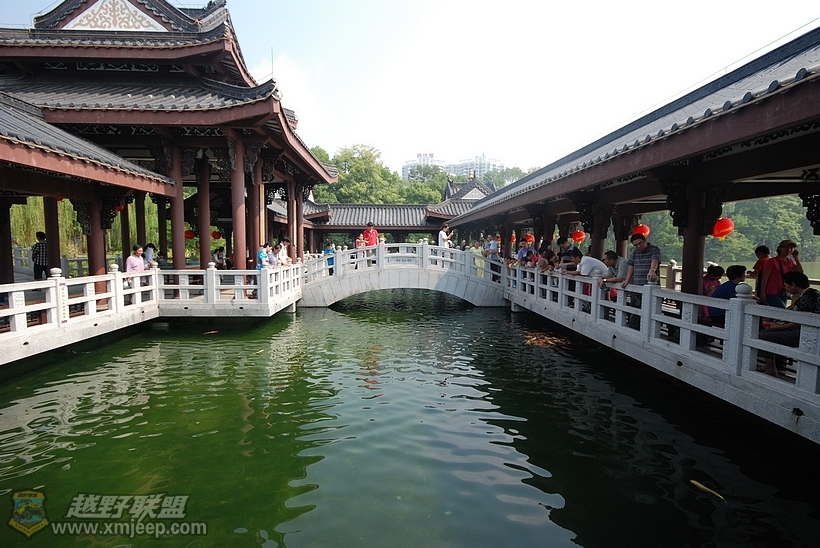 nEO_IMG_DSC_1875.jpg