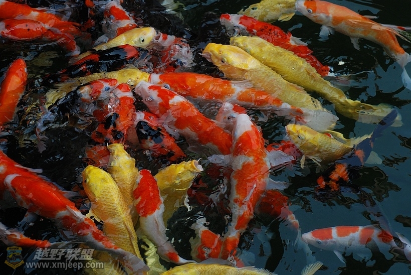 nEO_IMG_DSC_1884.jpg