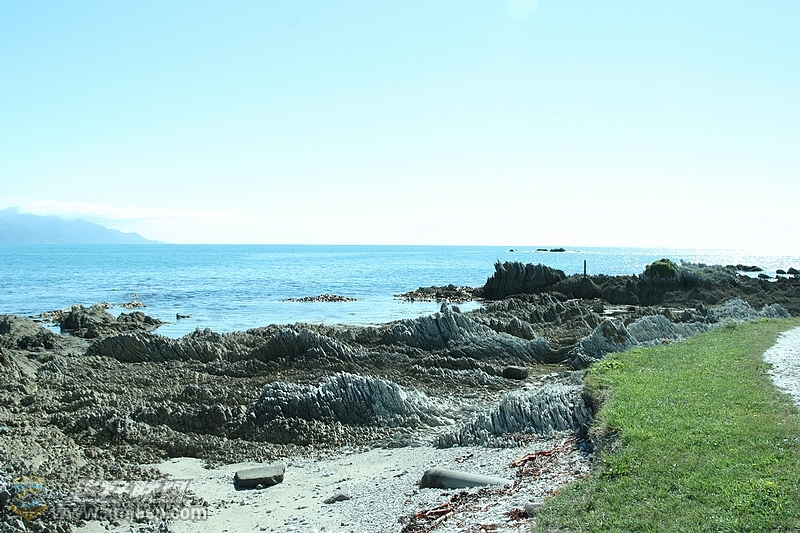 IMG_8133.jpg