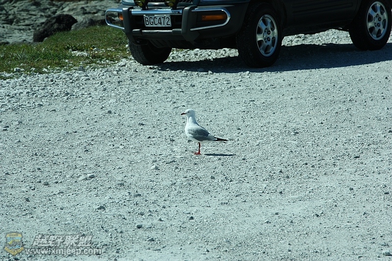 IMG_8139.jpg