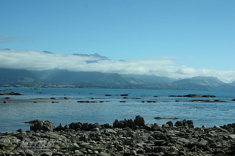 IMG_8144.jpg