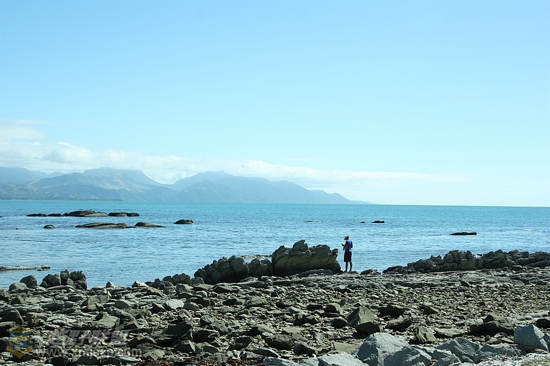 IMG_8145.jpg