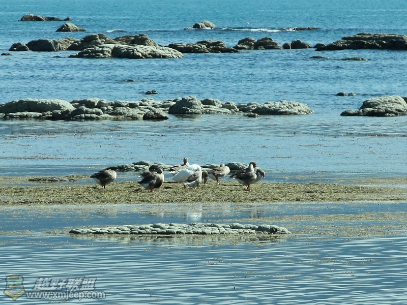 IMG_8147.jpg