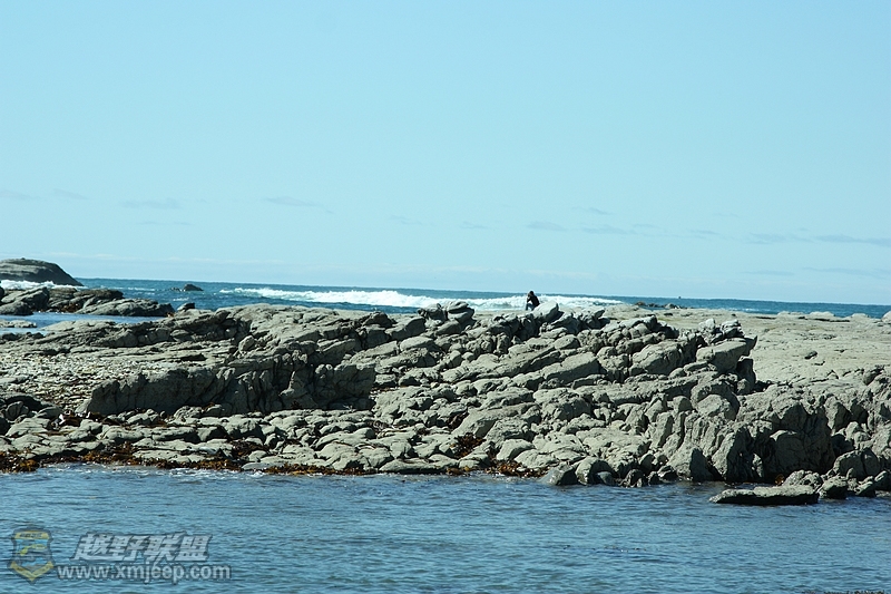 IMG_8168.jpg