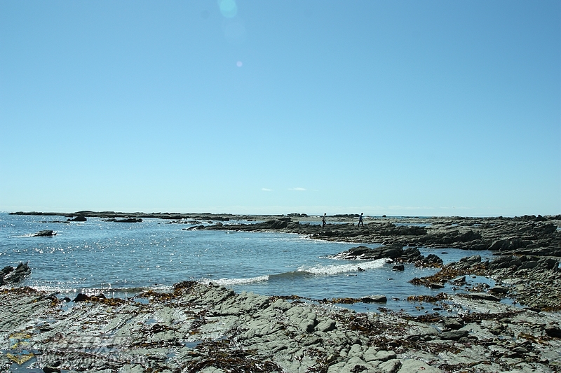 IMG_8175.jpg