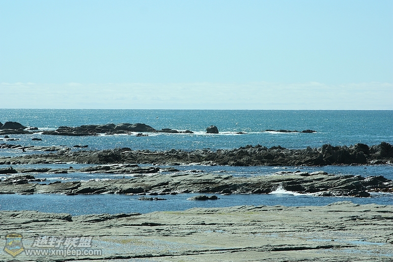 IMG_8235.jpg