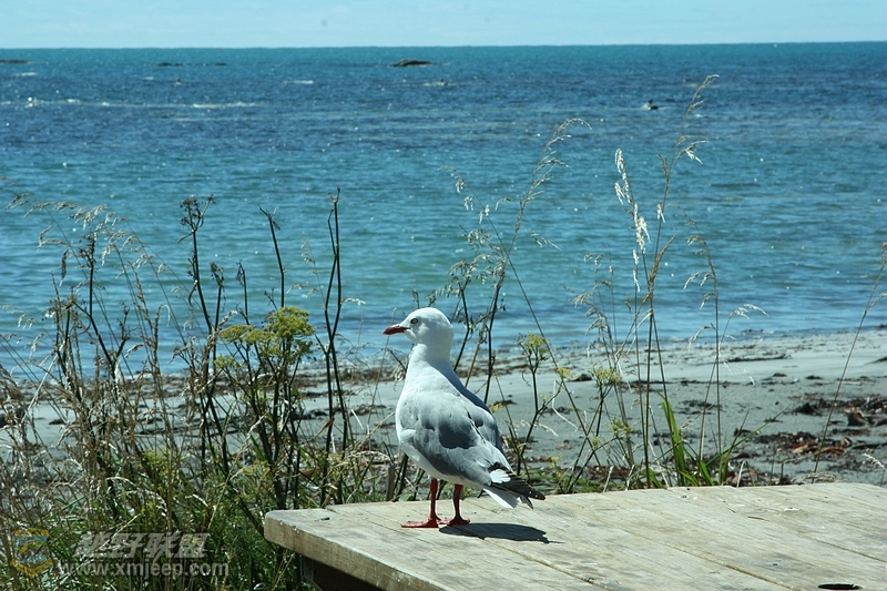 IMG_8322.jpg