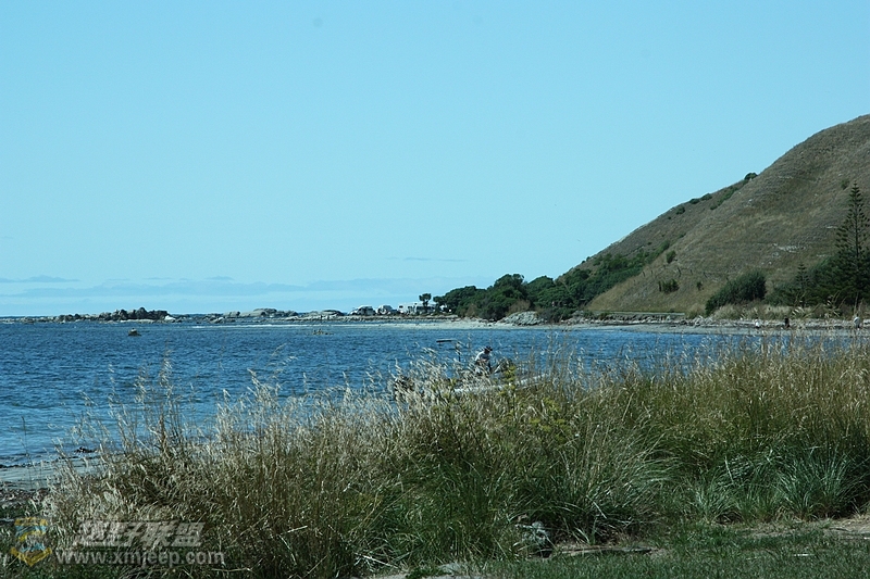 IMG_8338.jpg
