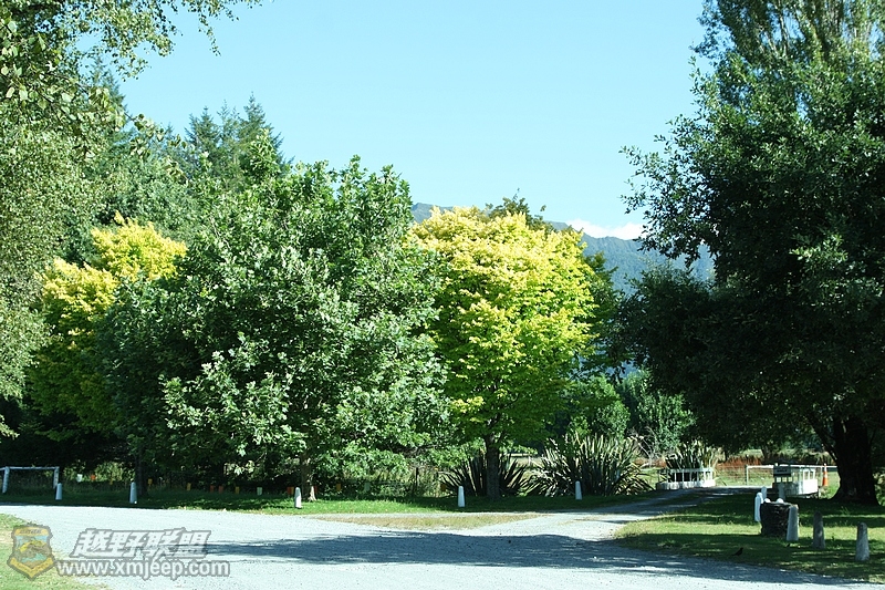 IMG_8684.jpg