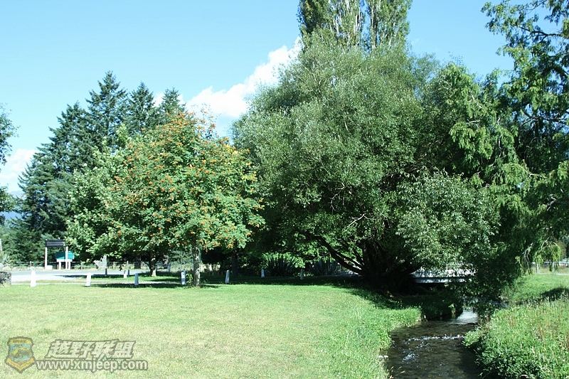 IMG_8690.jpg