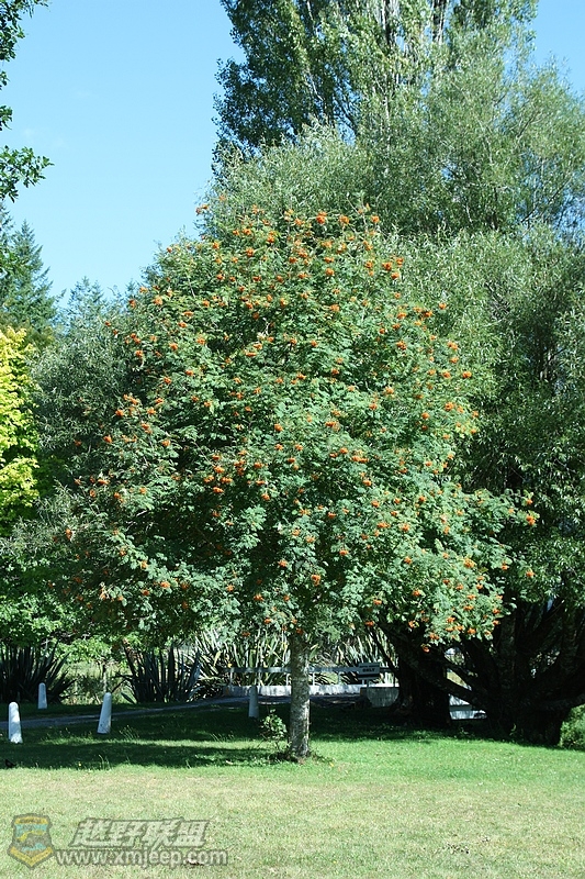 IMG_8687.jpg